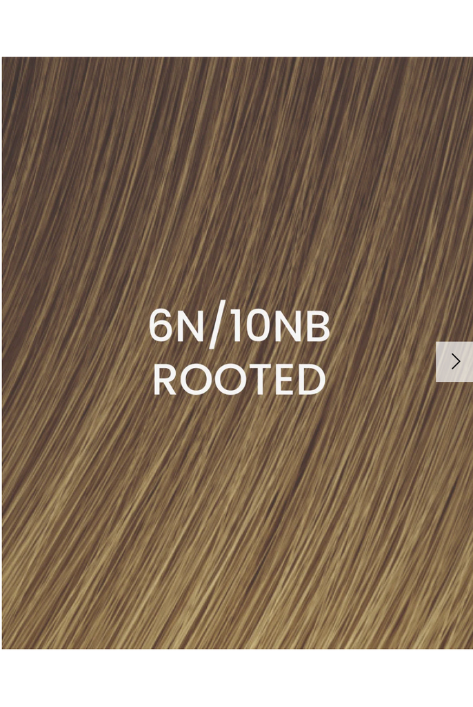 BHBD Weft 50x25cm 6N/10NB Rooted