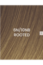 BHBD Weft 50x25cm 6N/10NB Rooted