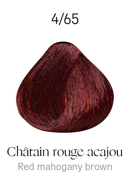 Kydra Crème 4-65 Rouge Acajou Marron