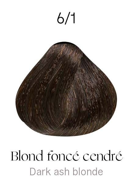 Kydra Crème 6-1 Frêne foncé Blond