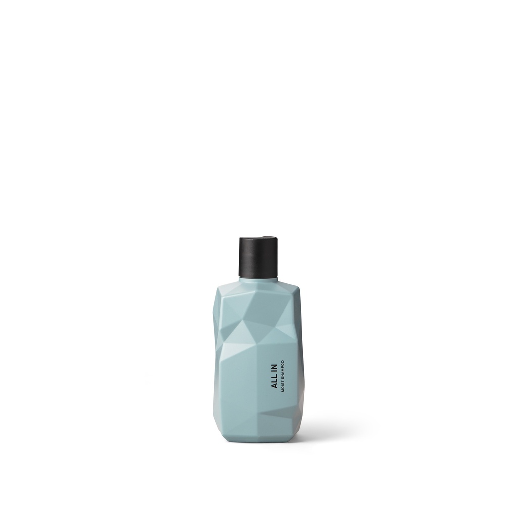 NINE YARDS ALL IN _ MOIST SHAMPOO 300ML