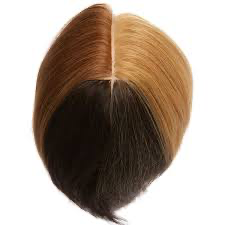 Mannequin Head Pivot Point - Colour Quadrant 4