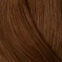 Showpony 45-50cm (20") 7 PIECE CLIP IN BOX SET - Cinnamon - 7AG