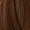 Showpony 45-50cm (20") Skin Weft Tape Extensions - 6G Chestnut