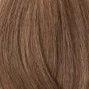 Showpony 45-50cm (20") Skin Weft Tape Extensions - 8VA Light Brown