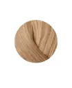 Showpony 45-50cm (20") Extensions à ruban mince - 7GV-9N Honey Ginger Highlight