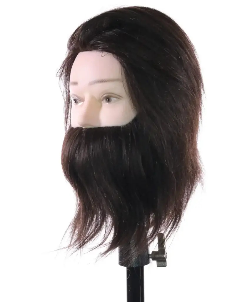 Mannequin Head ABE - man with beard