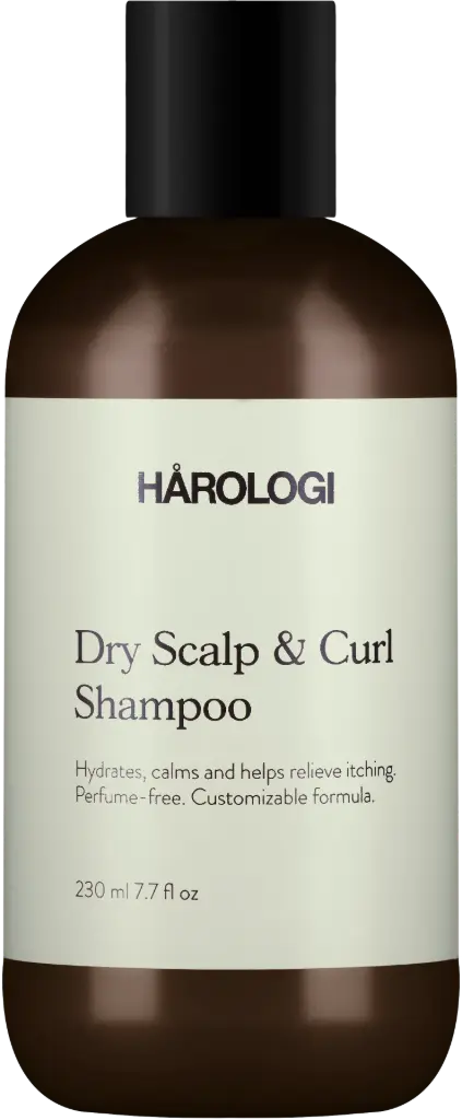 HAROLOGI Dry Scalp & Curl Shampoo 1000 ml