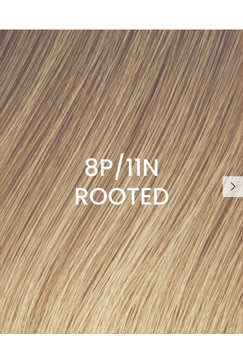 [505025-08P11N-R] BHBD Weft 50x25cm 8P/11N Rooted
