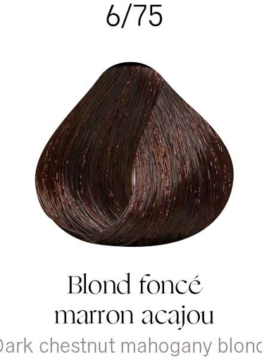 [KD10173] Kydra Crème 6-75 Dark Chestnut Mahogany Blonde
