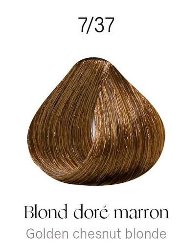 [KD10183] Kydra Crème 7-37 Golden Chestnut Blonde