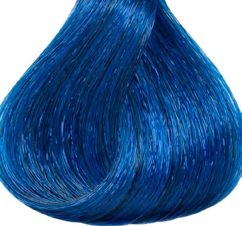 [KD10250] Kydra Primary BLUE