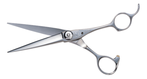 [FGGF60] EE Fuji President 6,5"