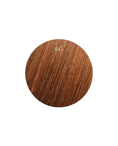 [715042] Showpony 30-35cm (14") Slimline Tape Extensions - 6G Chestnut