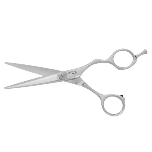 [PS53] EE Excellent Tomi PS 5.3"