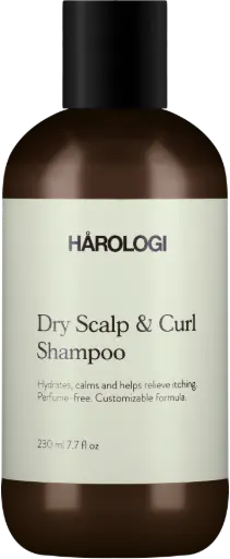 [23292] HAROLOGI Dry Scalp & Curl Shampoo 1000 ml
