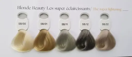 [KD25007FR] Kydra Blond Beauty Colorchart