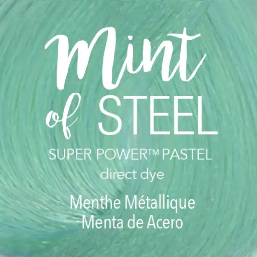 [41073] Mydentity - DDSP Mint of Steel 85g
